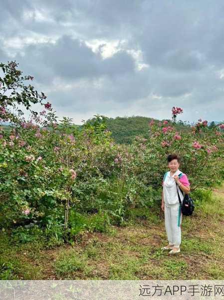 唯美修真新境界，沧月花海东方幻想手游深度解析