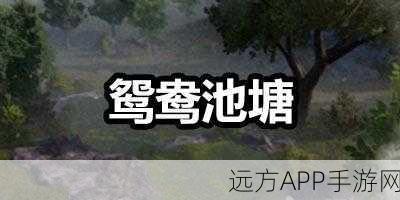 黎明觉醒，探寻断桥下神秘藏宝图与宝藏所在