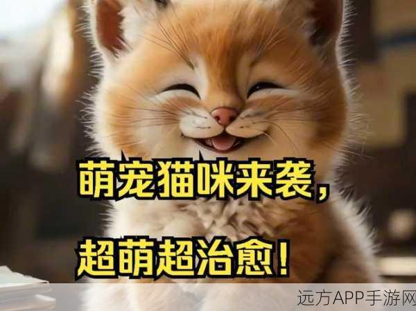 萌宠治愈新体验，猫猫事业大亨养成游戏深度解析