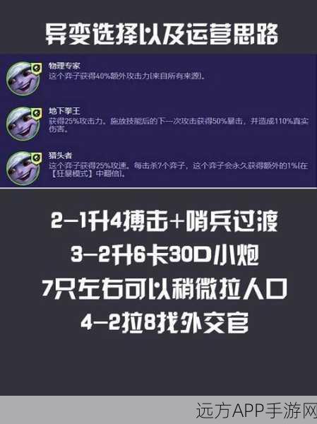 金铲铲之战，9 三国盖伦无敌阵容搭配秘籍