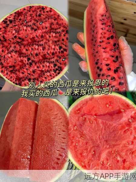 51cgfun吃瓜爆料：51cgfun最新八卦分享＂ 🍉