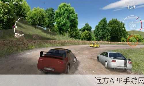 N3Rally游戏下载-独特的拉力赛车游戏