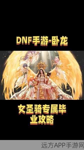 DNF 女圣骑士 110 版本毕业装备完美搭配指南