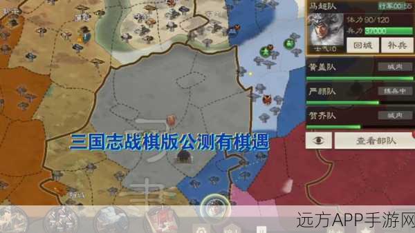 三国志战棋版 S6 超强共存阵容搭配全攻略，深度解析助你称霸战场