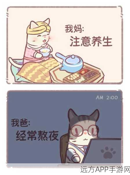 探秘猫咪和汤，轻松进入猫猫房间的秘籍