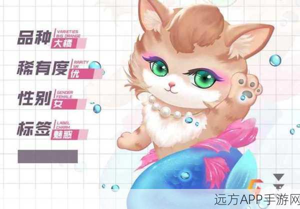 探秘优品灵猫世界，品种与玩法全解析