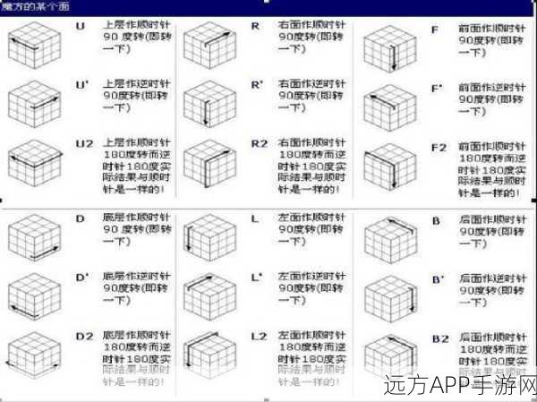 点点小将，新手畅玩秘籍，基础玩法全解析