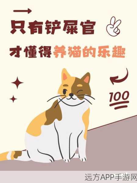 悲伤猫咪华丽变身！喵趣横生，猫咪装扮大冒险游戏详解