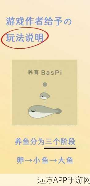 探秘虚无鱼 BasPi 玩法秘籍 全攻略大放送