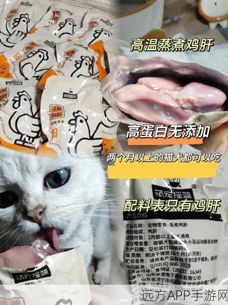 猫咪美食家，打造专属猫零食餐厅，萌宠经营新体验！