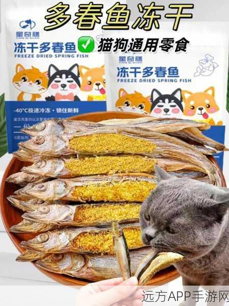 猫咪美食家，打造专属猫零食餐厅，萌宠经营新体验！