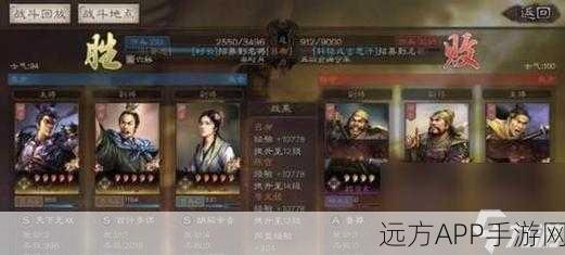 三国志战略版珍稀卡牌全解析，助你称霸三国