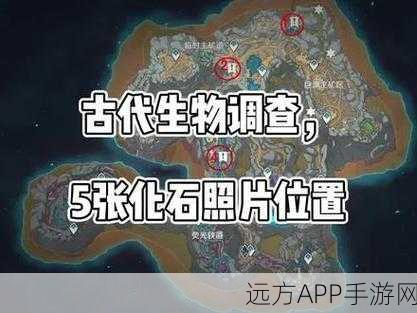 原神层岩巨渊地下矿区钓鱼点全揭秘