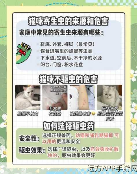 轻松搞定！小猫咪大城市此处禁停任务全攻略