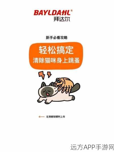 轻松搞定！小猫咪大城市此处禁停任务全攻略