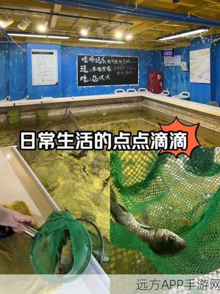 探秘钓鱼佬净化海洋，工人获取秘籍大公开