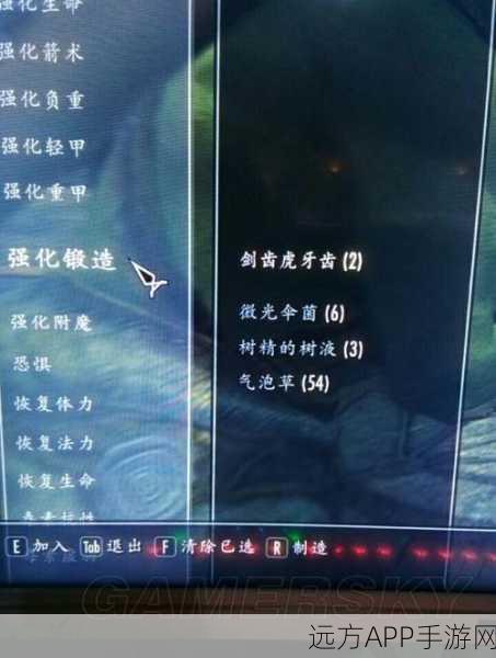 上古卷轴 5 元素熔炉的神秘配方全揭秘