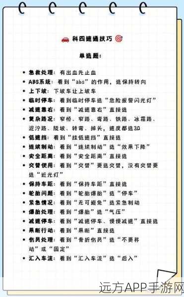 我自为道2024 震撼开局！新手必知的逆天玩法秘籍