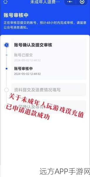 DNF手游退款攻略，全面解析申请流程与技巧