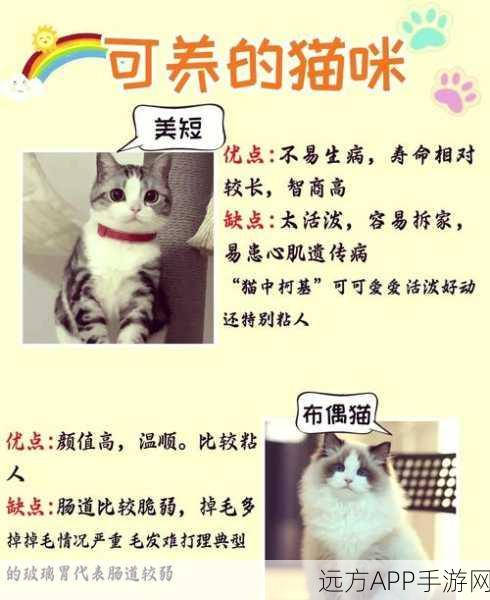 桃源深处有人家，解锁养猫秘籍，打造猫咪乐园！