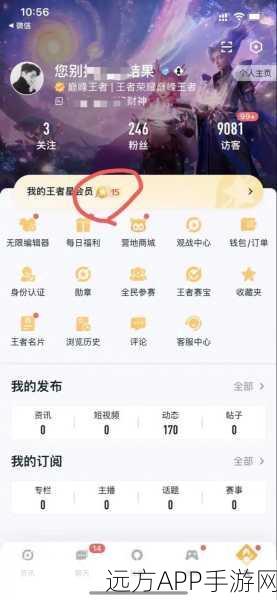 王者荣耀星会员等级查看秘籍，详细步骤与要点解析