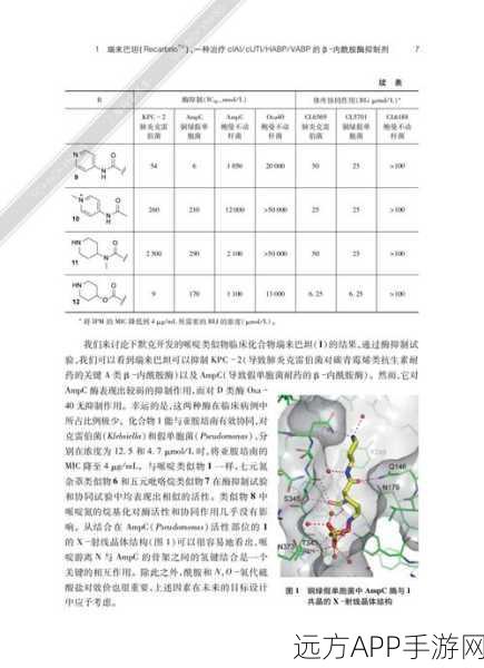 探秘森林之子，药物合成秘籍大公开