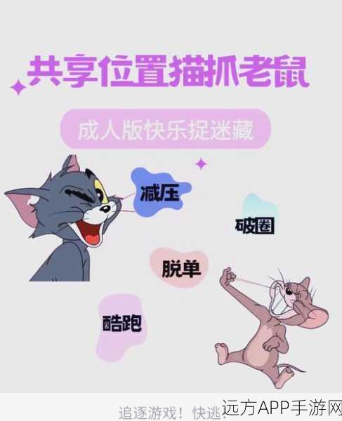 猫和老鼠手游，猫皇养成秘籍——玩猫细节全解析