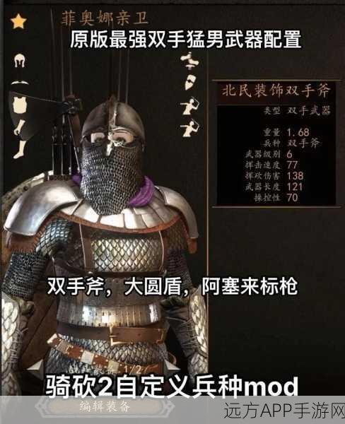 骑马与砍杀 2 中狼皮战士兵种装备的深度剖析