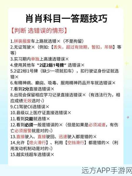 就我眼神好挑战东北一家通关秘籍，细节揭秘助你轻松过关