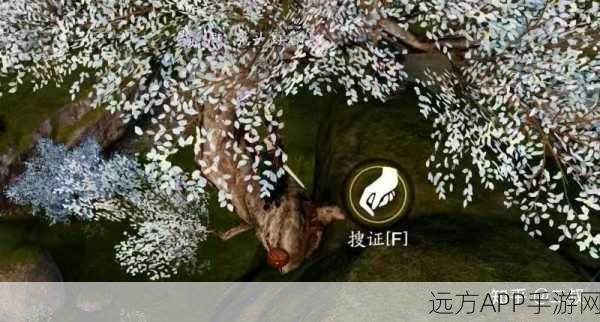 天涯明月刀手游，揭秘先人秘藏传音蛊的绝密获取攻略