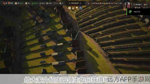 庄园领主攻略秘籍，解锁居住人口扩建新篇章