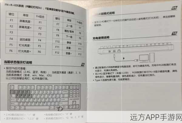 独家秘籍，吸血鬼幸存者电脑版按键完美设置指南