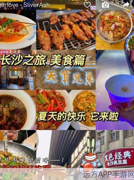 我的小吃街原料抽取攻略，解锁美食之旅的秘密通道