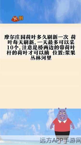 摩尔庄园手游，荷叶采集秘籍大公开