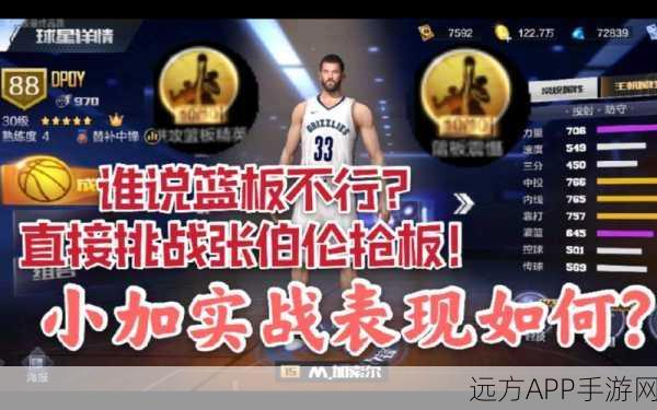 最强 NBA 球员 M 加索尔全方位属性能力深度剖析