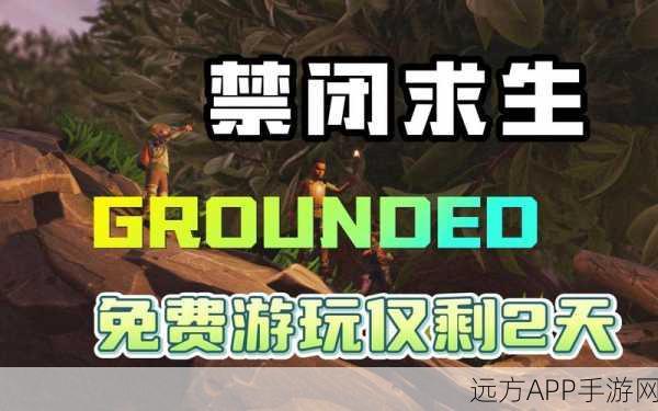 Grounded联机全攻略，轻松与好友共赴微观世界冒险