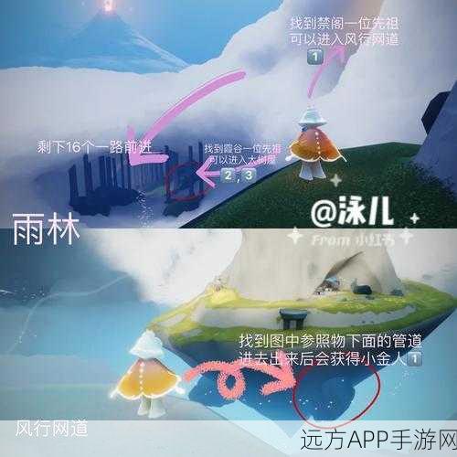 光遇雨林探险，追寻祖先足迹，揭秘失落部落