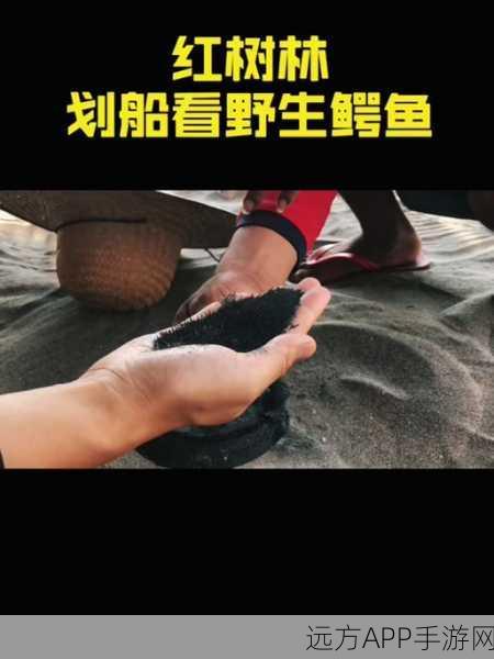 探秘三角洲行动中鳄鱼的神奇作用