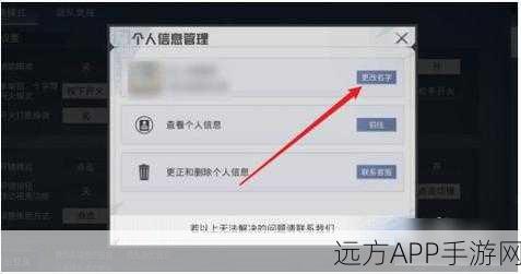 和平精英改名攻略，轻松掌握昵称变更技巧，打造个性游戏身份