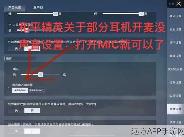 苹果手机和平精英麦克风权限开启攻略，畅享游戏语音交流