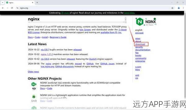 手游开发者必看，Linux环境下Nginx高效搭建与配置全攻略