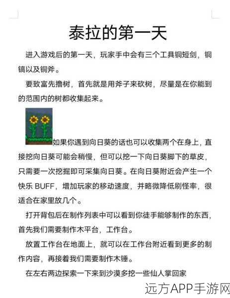 泰拉瑞亚深海奇遇，海洋地形全攻略与神秘海域探险秘籍