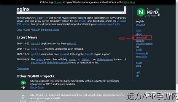 手游开发者必看，Nginx服务器深度解析，助力游戏性能优化