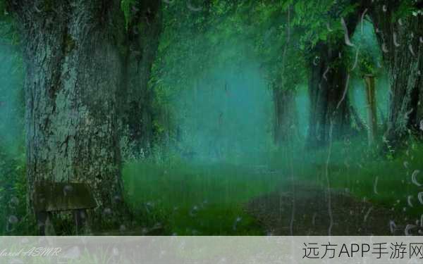 考拉讨厌雨天，创意无限的雨天躲避游戏深度解析及趣味挑战细节