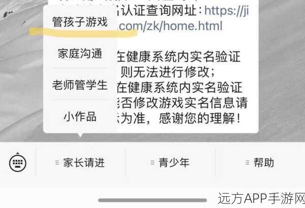 王者荣耀防沉迷系统全解析，保护青少年健康成长