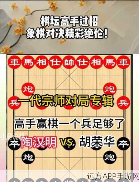 象棋高手养成计划，揭秘顶级赛事制胜策略与技巧