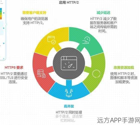 手游开发者必备，Nginx Proxy Manager——轻松构建反向代理的秘籍