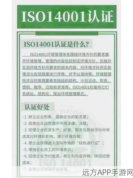 RPoints工具栏大揭秘，如何高效提升返现账户体验，赢取丰厚奖励？