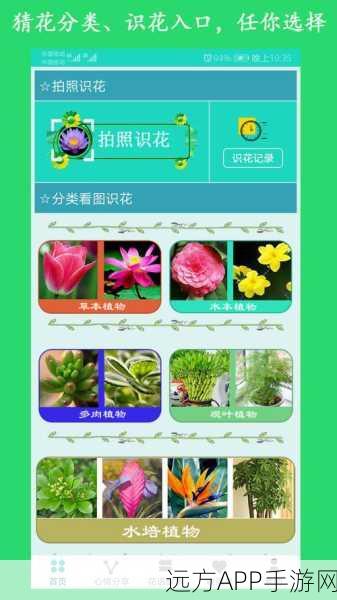 花界：Android平台上的花卉主题软件