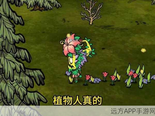 饥荒新角色植物人MOD上线，探索绿意生存挑战新纪元